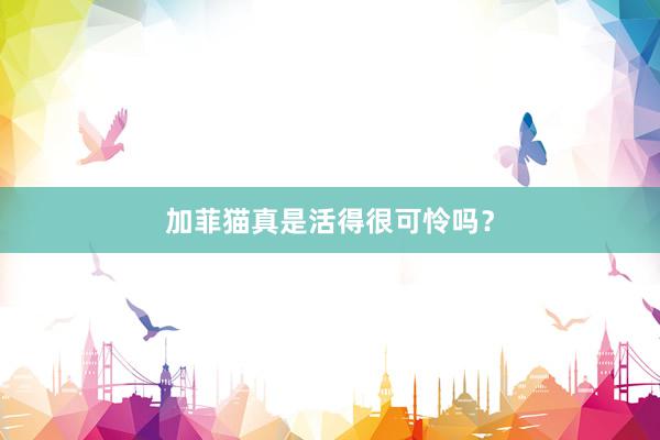 加菲猫真是活得很可怜吗？